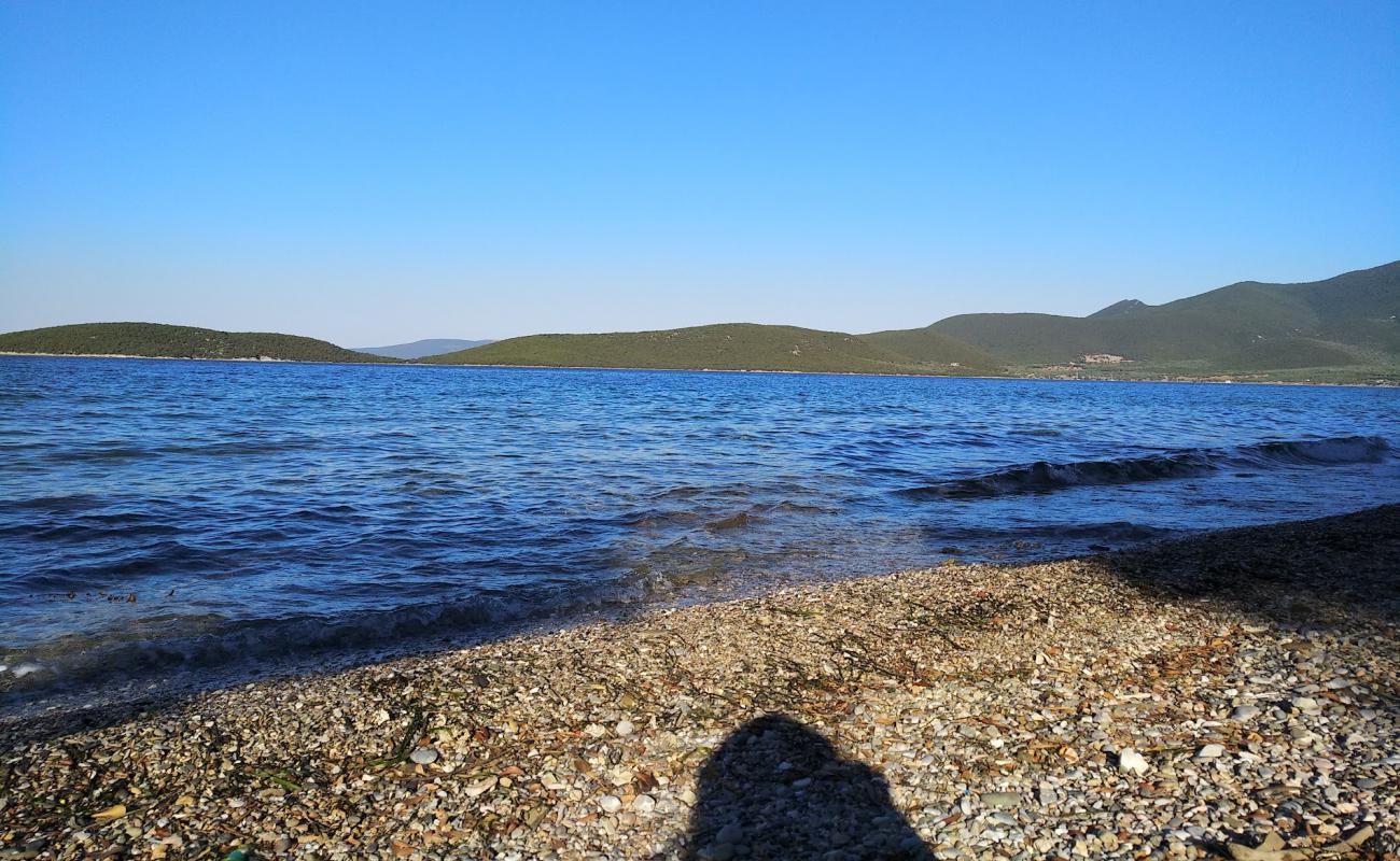 Photo de Thalassolite beach avec galets beige de surface
