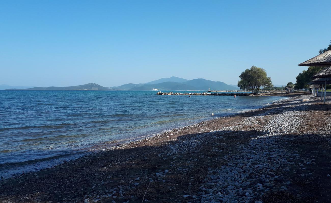 Photo de Almirou beach avec caillou brun de surface