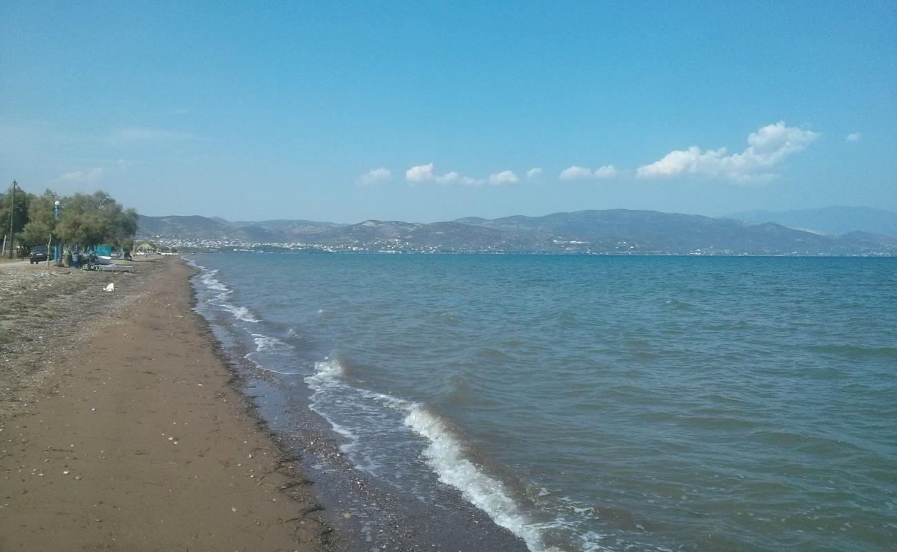 Photo de Dimitriada beach avec sable noir avec caillou de surface