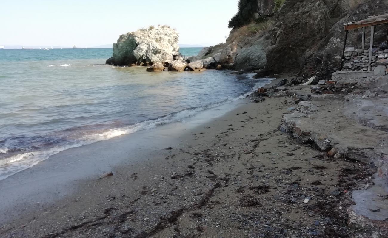 Photo de Lighthouse beach avec sable brun & rochers de surface