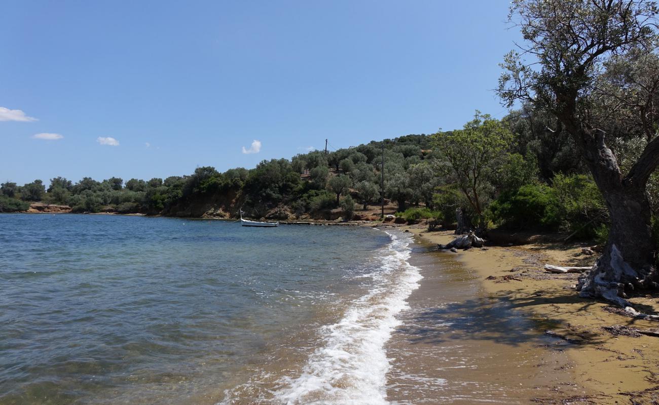 Photo de Agios Georgios Trikeri avec sable noir & galets de surface