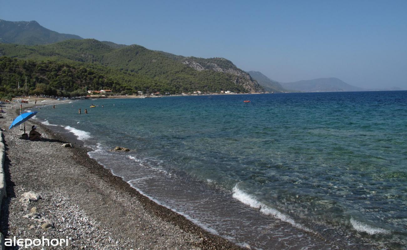 Photo de Alepochori beach II avec sable clair avec caillou de surface