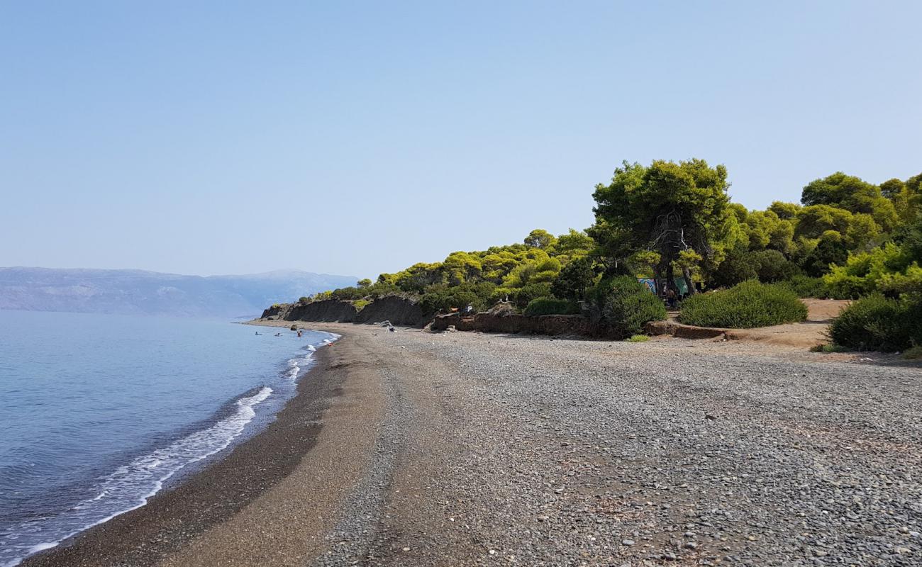 Photo de Almyra beach avec caillou fin gris de surface