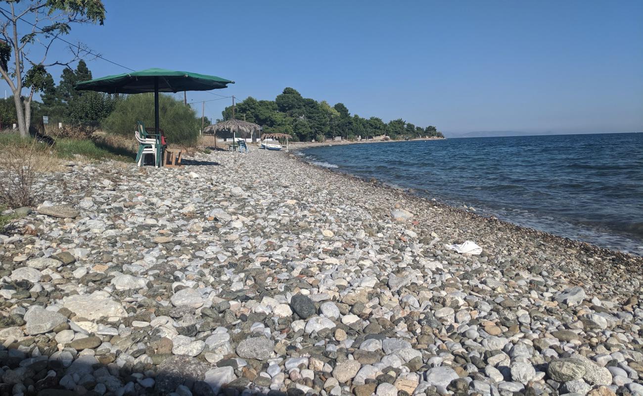 Photo de Agioi Theodoroi 2 beach avec caillou fin brun de surface