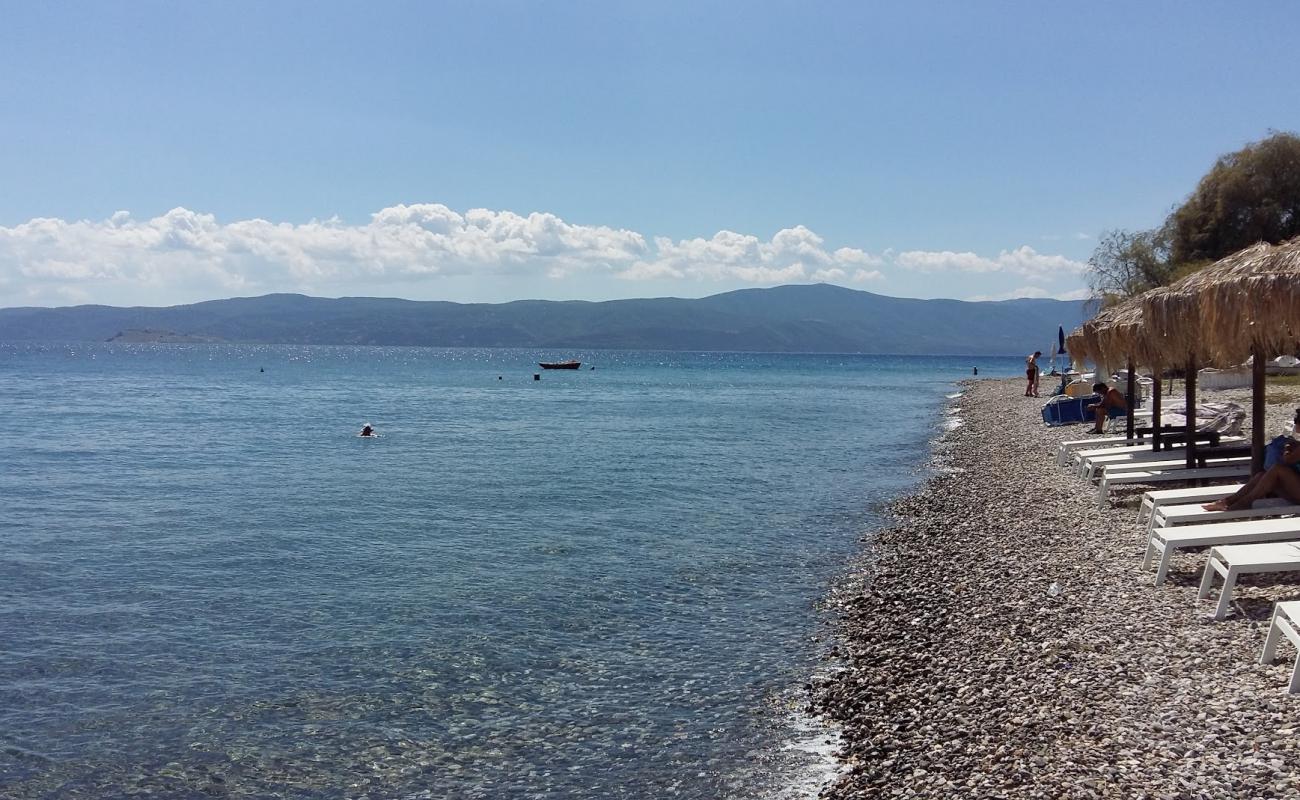 Photo de Agioi Theodoroi beach avec caillou fin gris de surface