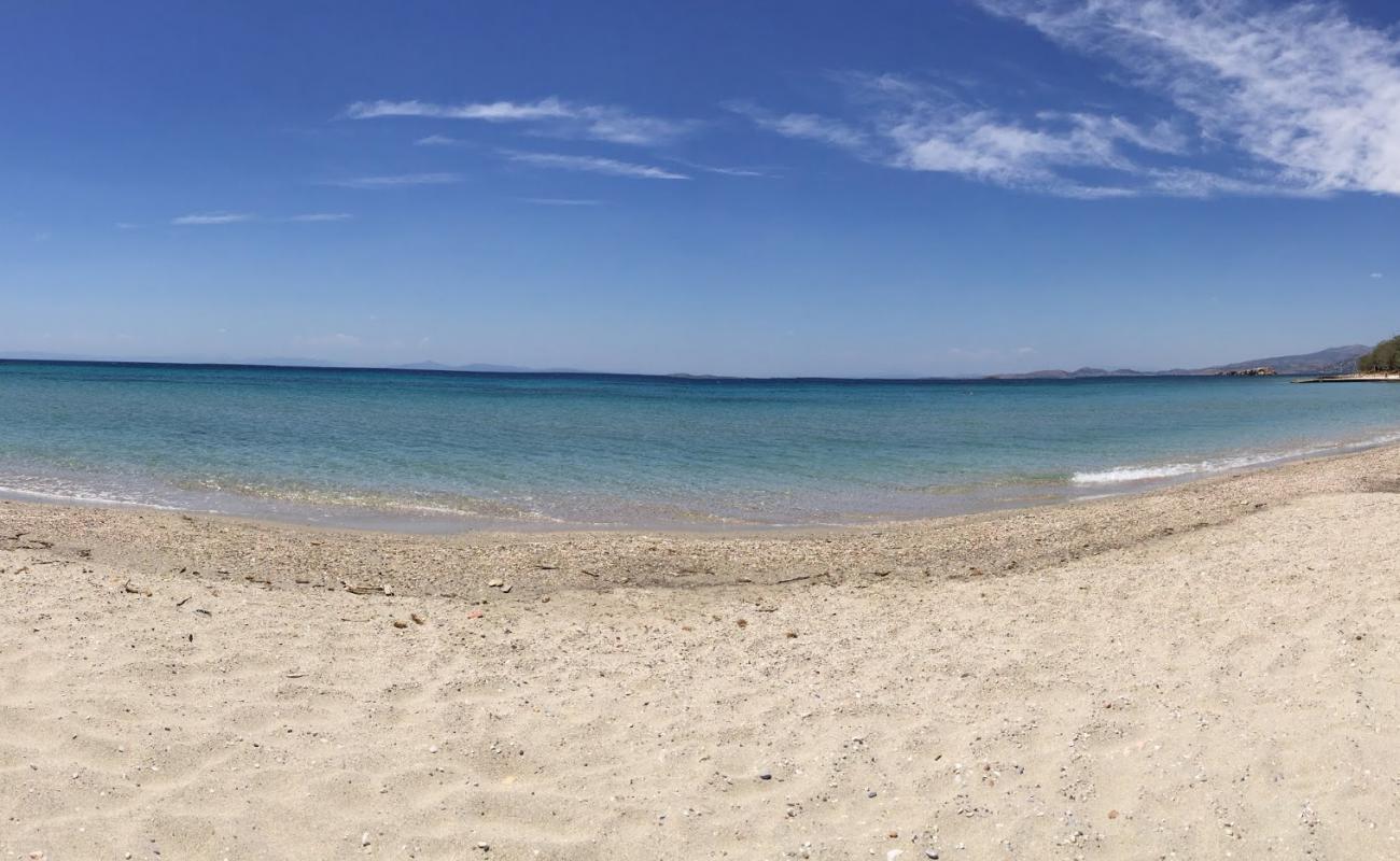 Photo de Paralia Saronida avec sable lumineux de surface