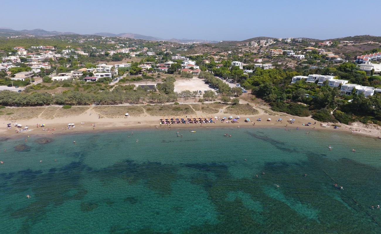 Photo de Paralia Limani Passa avec sable brun de surface