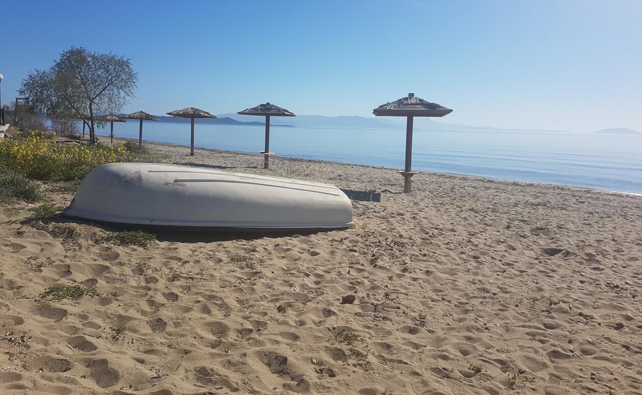 Photo de Paralia Marathona II avec sable brun de surface