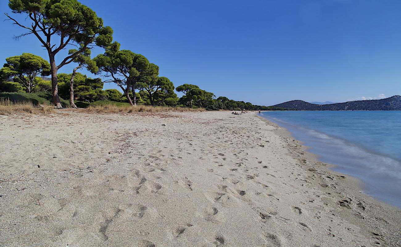 Photo de Plage de Schinias avec sable beige fin de surface