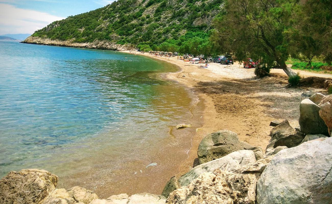 Photo de Ramnous beach avec sable beige & galets de surface