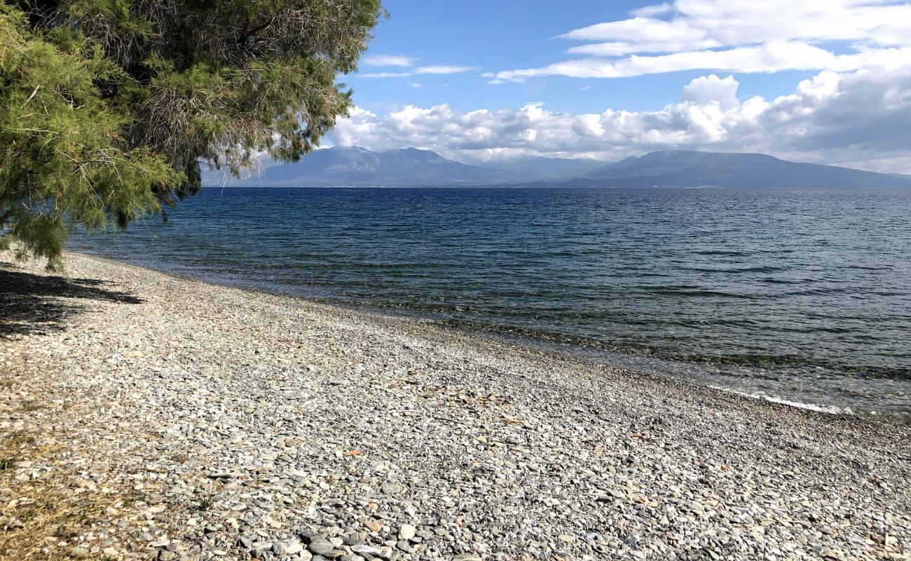 Photo de Paralia Angona avec caillou clair de surface