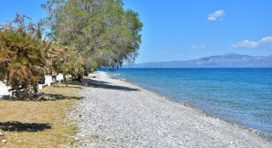 Paralia Agii Apostoli