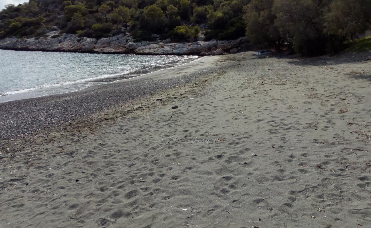 Photo de Paralia Aias II avec sable brun de surface