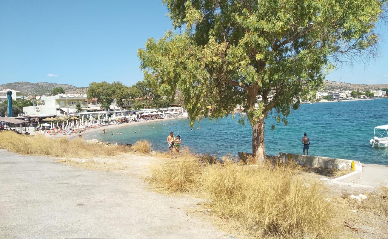 Photo de Selinia beach avec sable noir & galets de surface