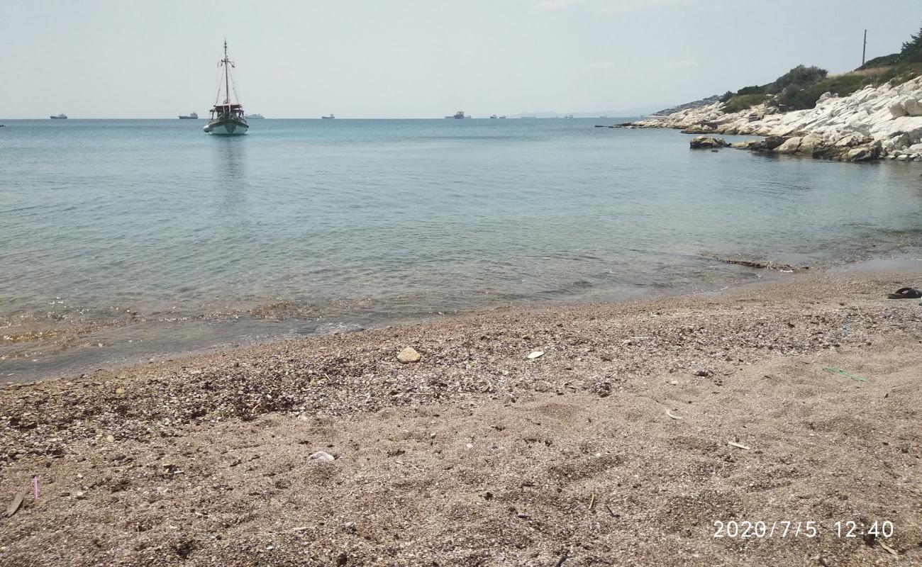 Photo de Paralia Kynosouras avec sable noir avec caillou de surface