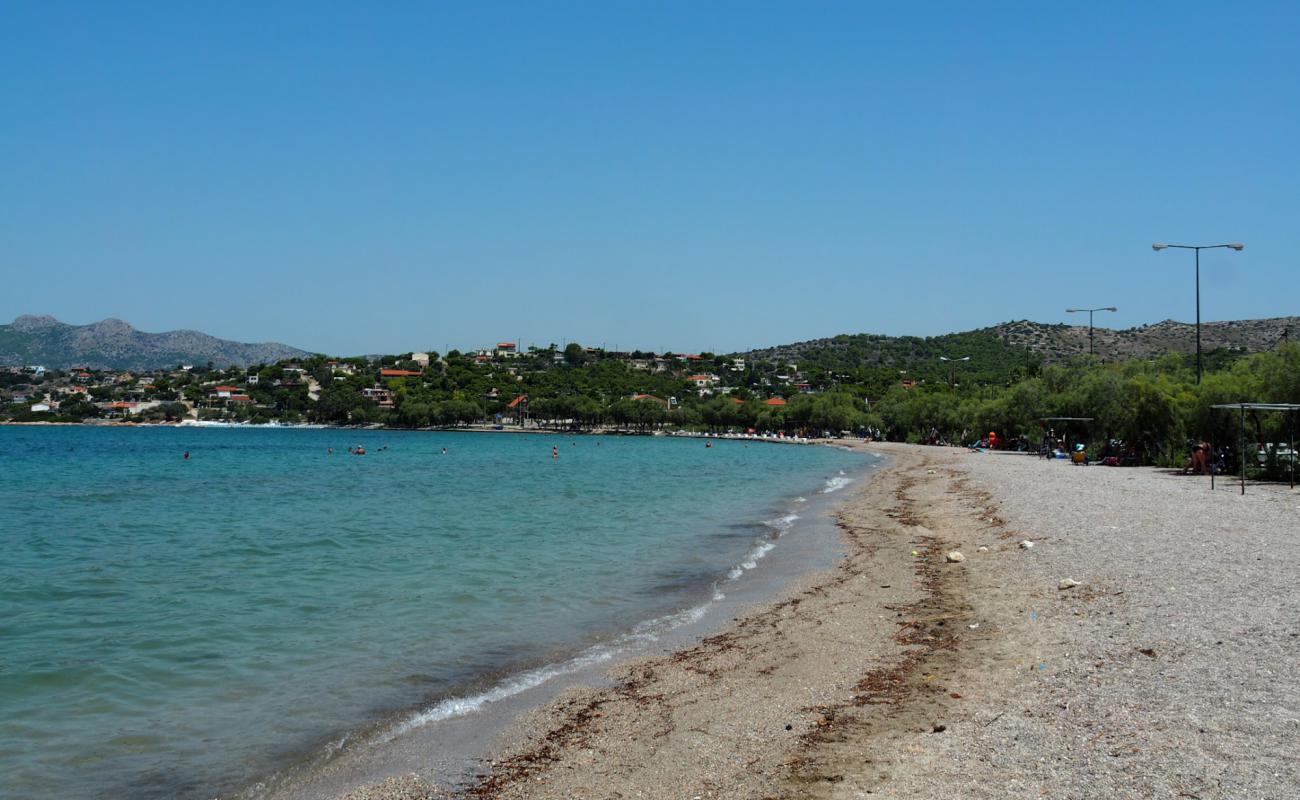 Photo de Paralia Vasilika avec caillou fin clair de surface