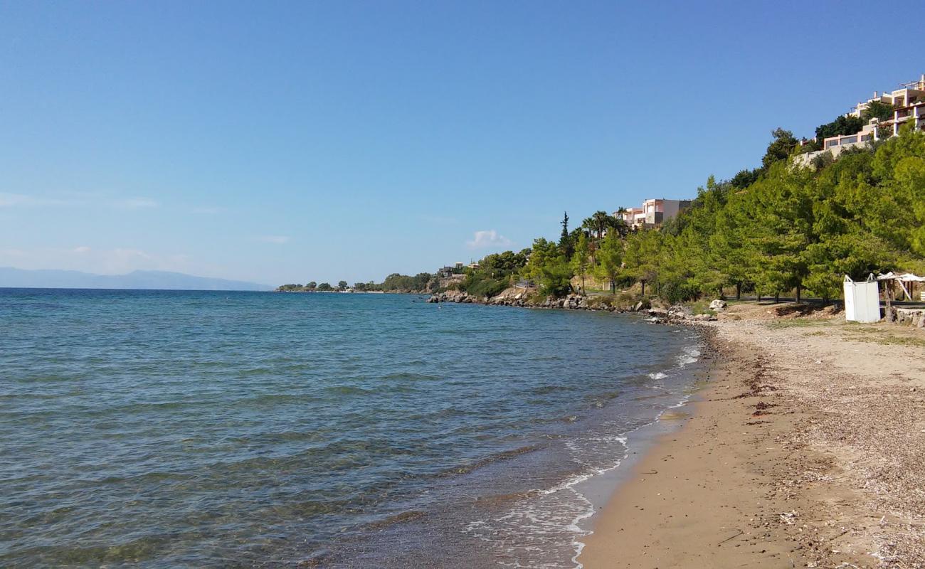 Photo de Paralia Marathona avec sable brun de surface