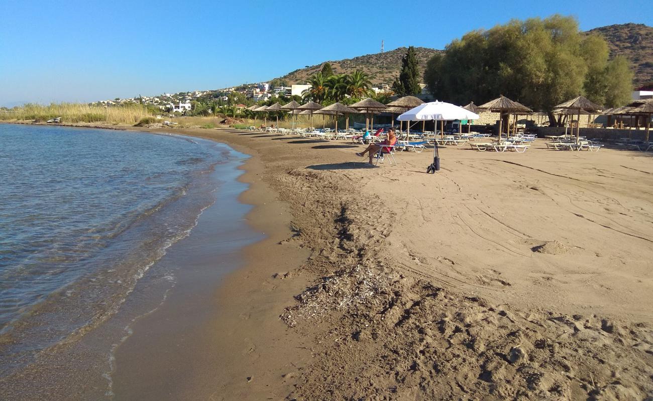 Photo de Paralia Marathona II avec sable brun de surface