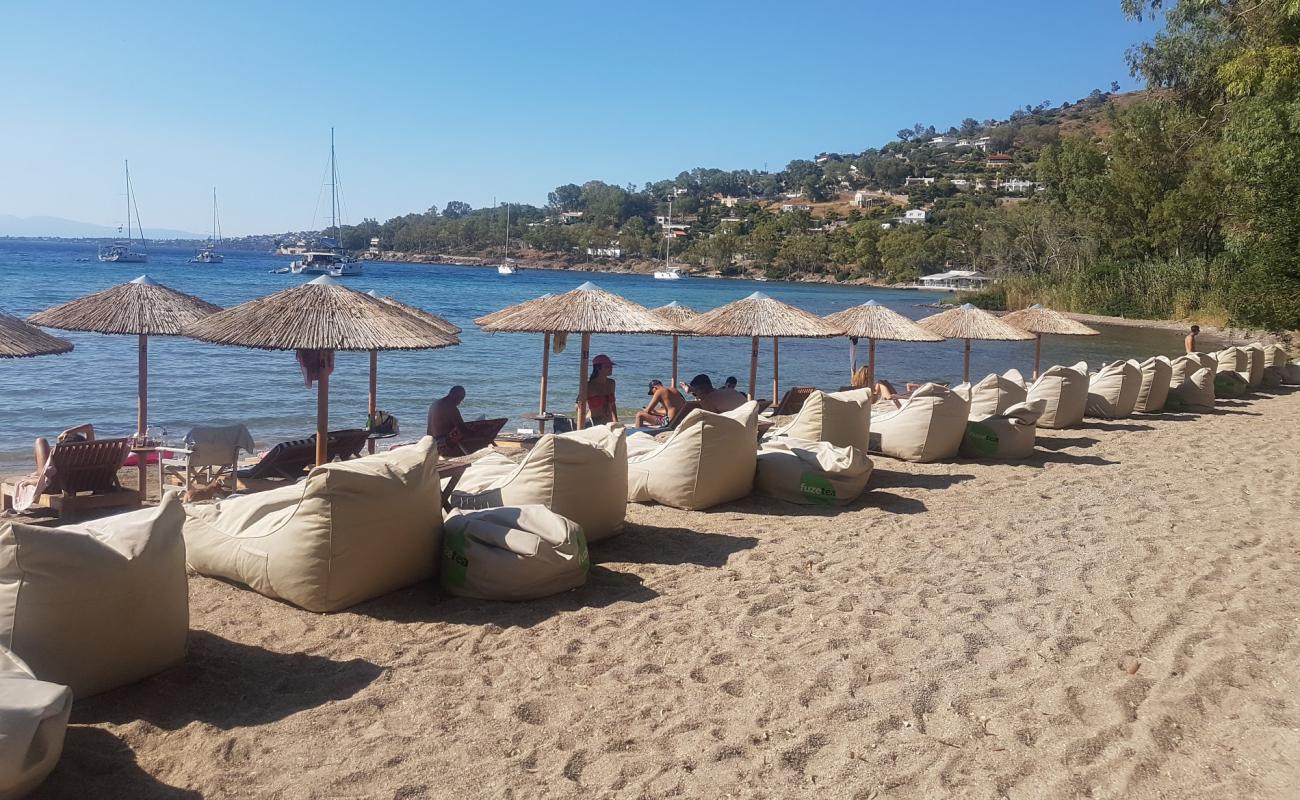 Photo de Paralia Aiginitissa avec sable brun de surface