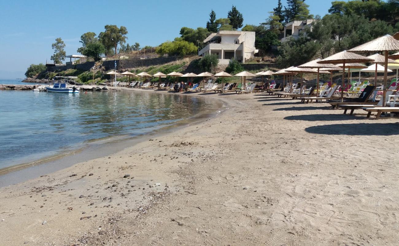 Photo de Aegina Maris avec sable noir avec caillou de surface