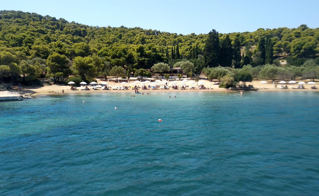 Photo de Paralia Zogerias avec sable brun de surface