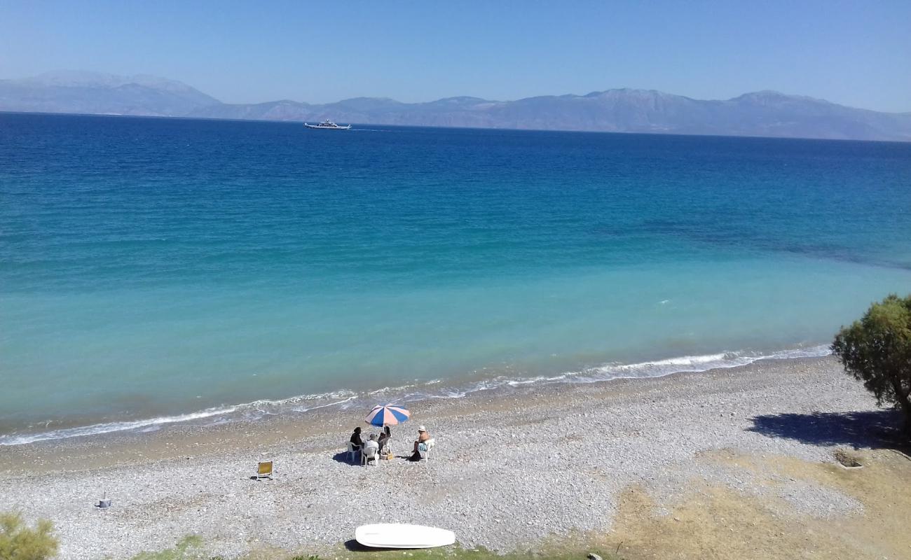 Photo de Paralia Xilokastrou avec caillou brun de surface