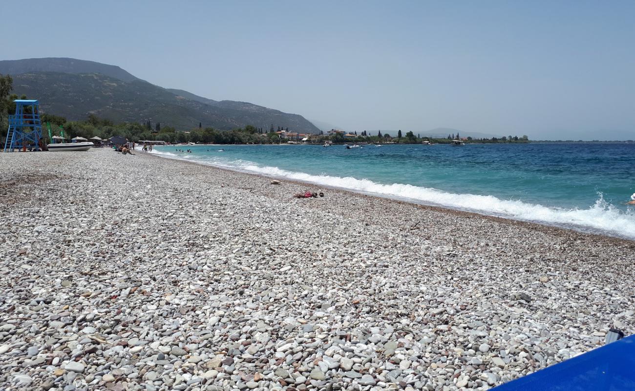 Photo de Paralia Eleona avec caillou brun de surface