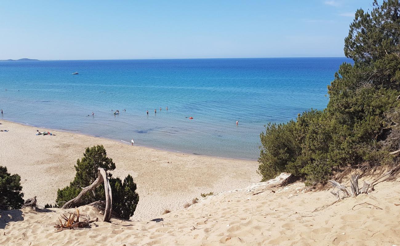 Photo de Paralia Gymniston avec sable fin et lumineux de surface