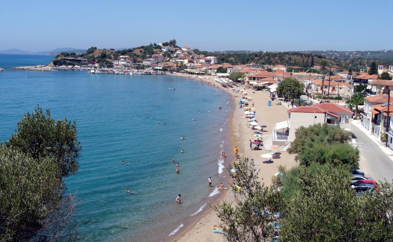 Photo de Paralia Finikounta avec caillou fin brun de surface