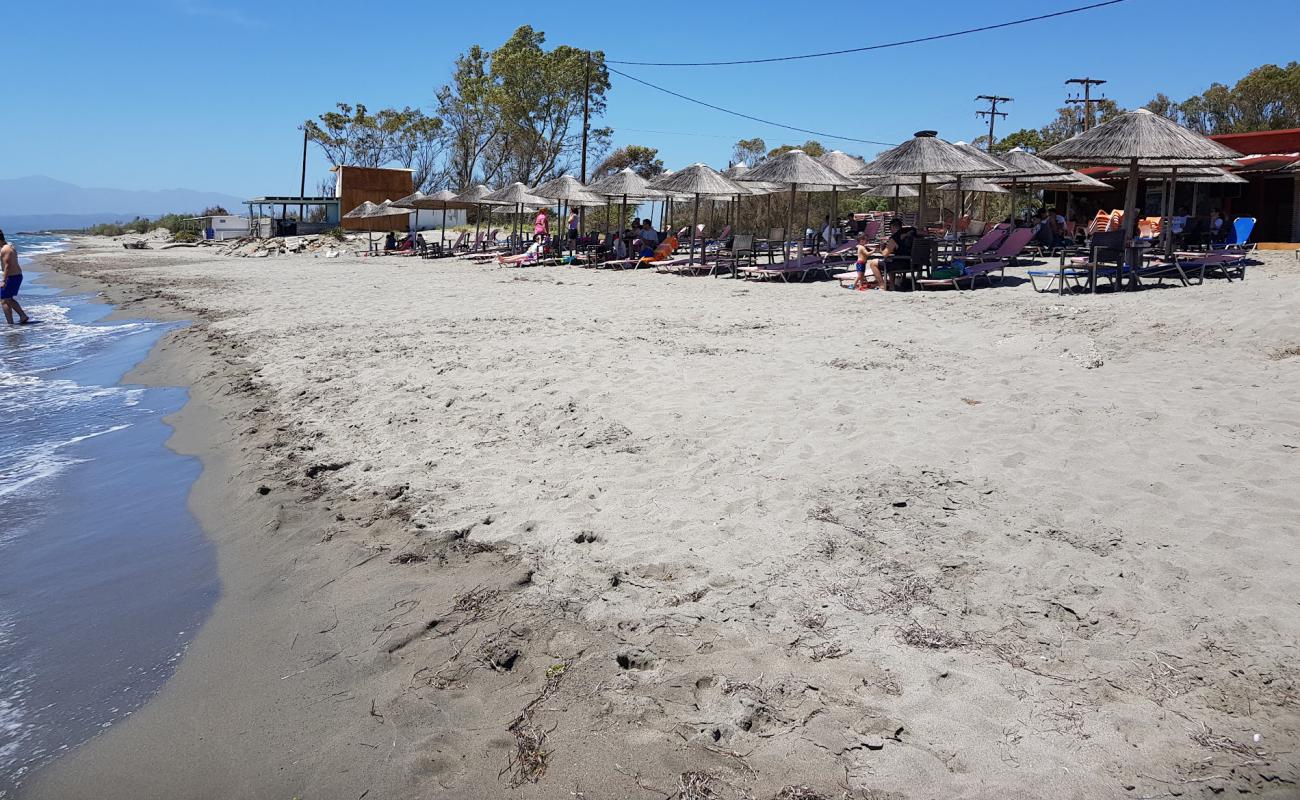 Photo de Blue Coast beach avec sable brun de surface