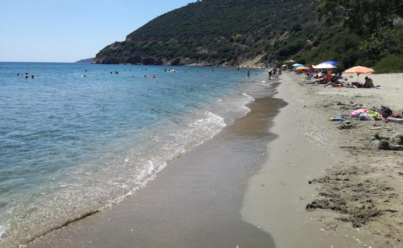 Photo de Karakatsanis Beach avec sable lumineux de surface