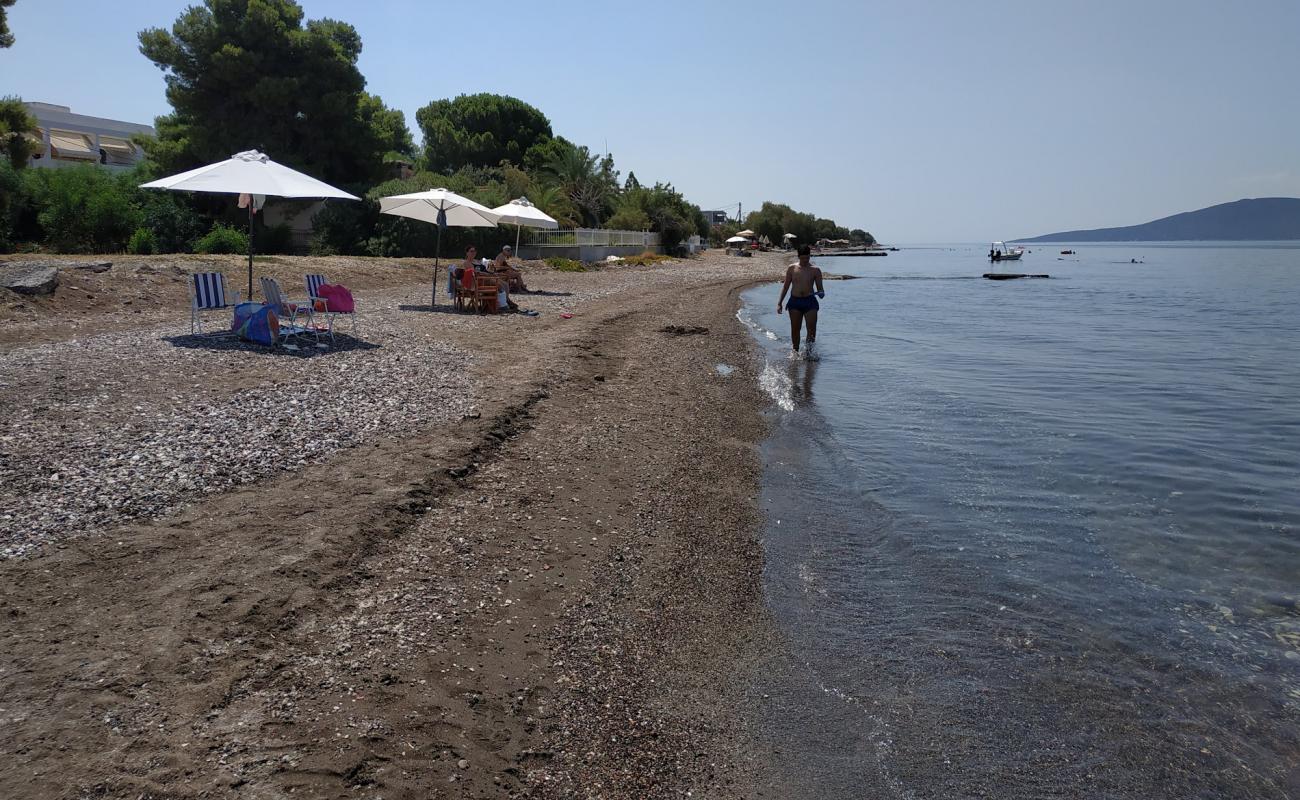 Photo de IRIA BEACH avec sable noir & galets de surface