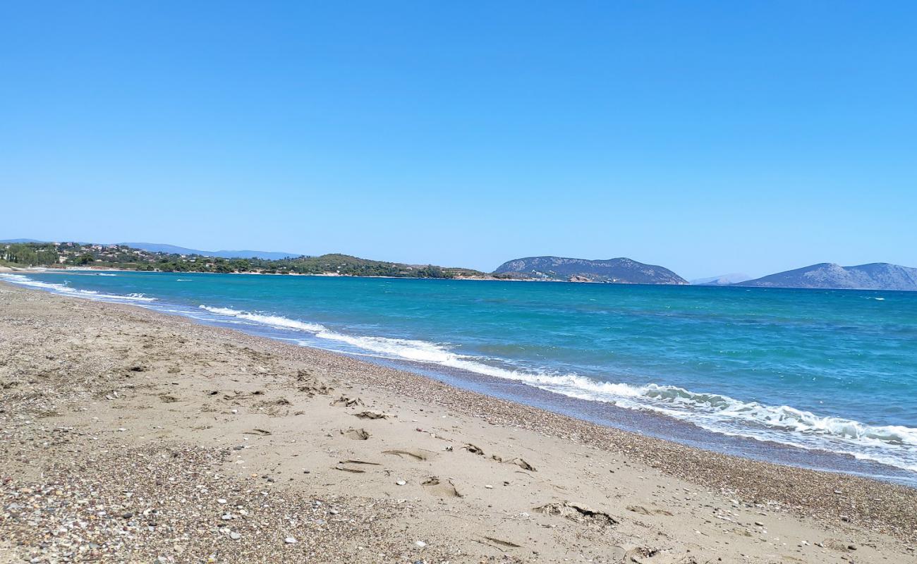 Photo de Petrothalassa beach II avec sable beige & galets de surface