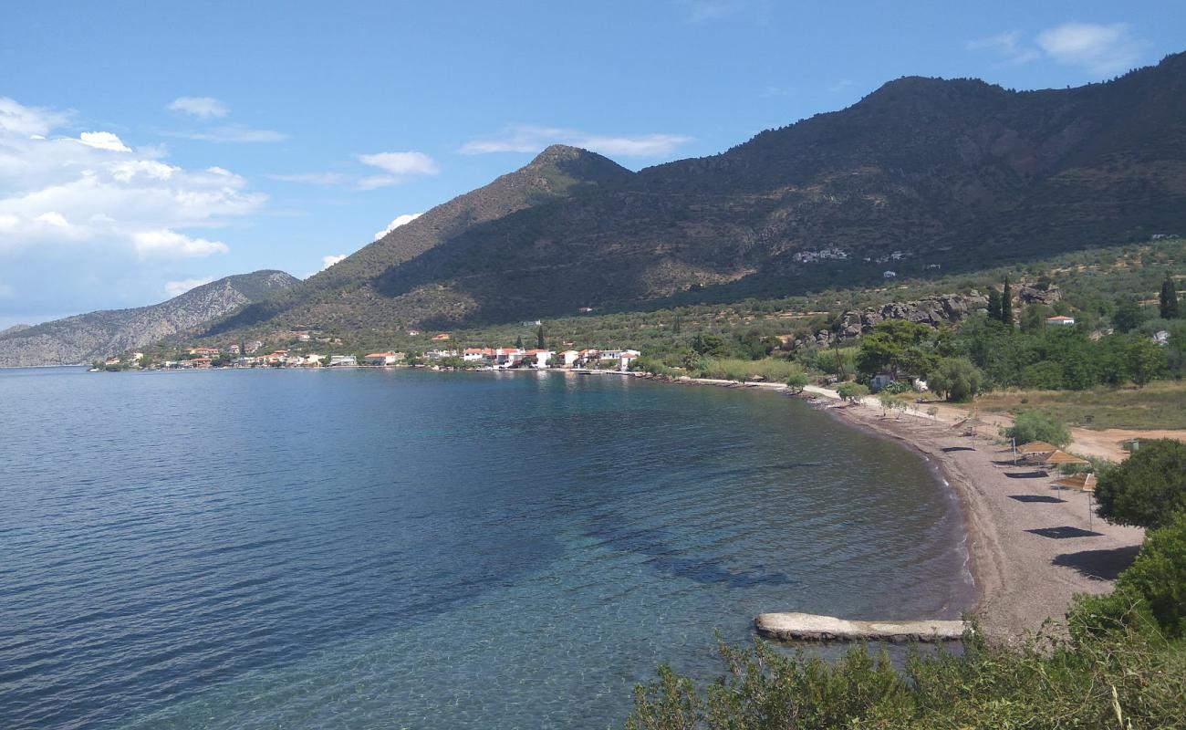 Photo de Almyra beach avec caillou clair de surface