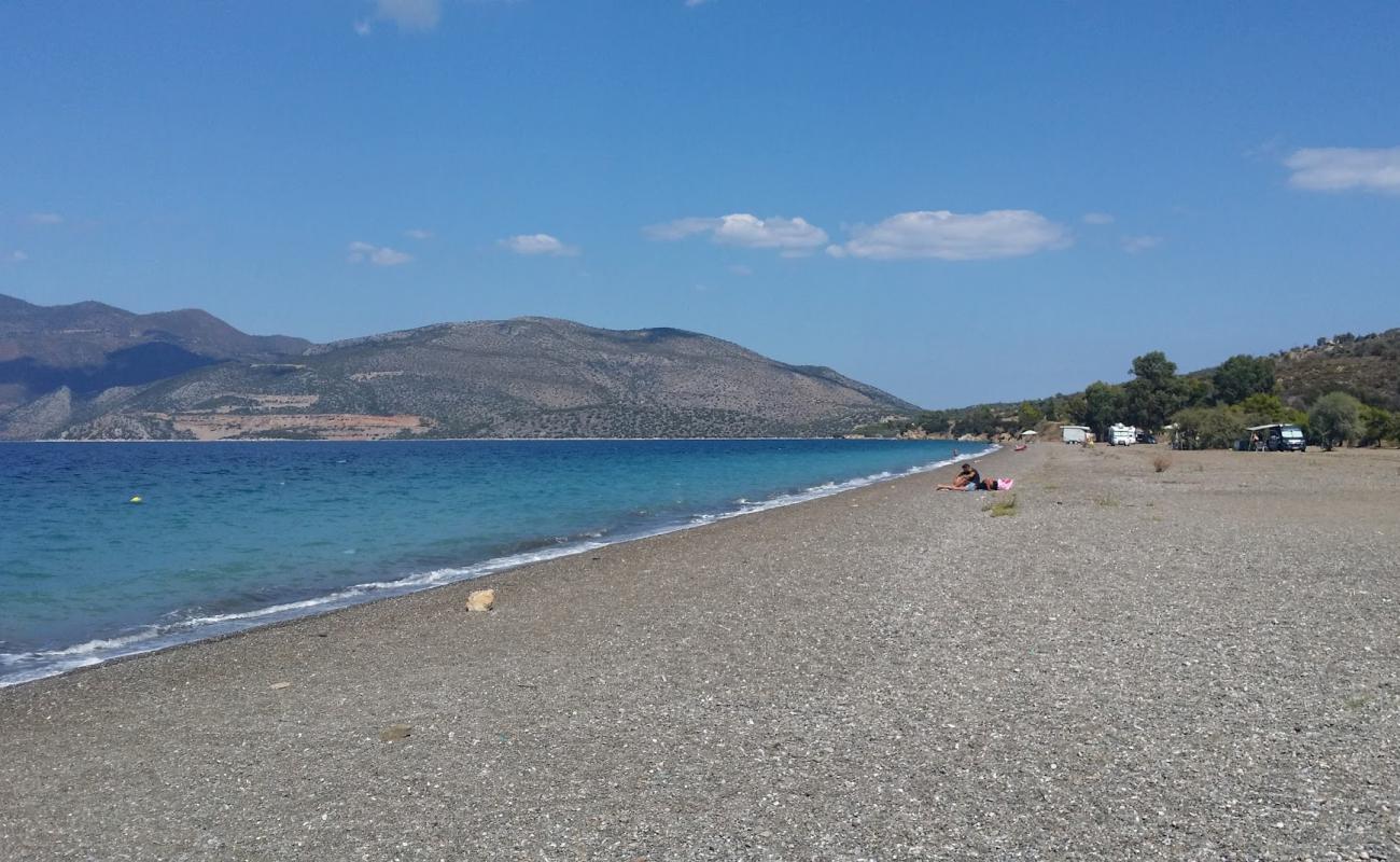 Photo de Plage de Dariza Metamorfosis avec sable clair avec caillou de surface