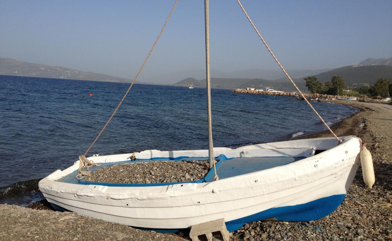 Photo de Paralia Kallonis avec sable gris avec caillou de surface