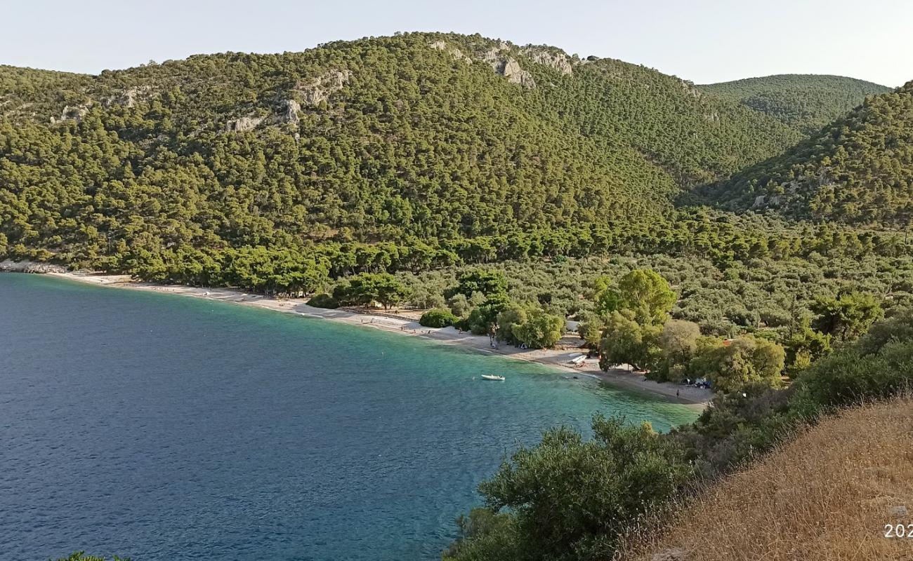 Photo de Paralia Sofikou avec galets beige de surface