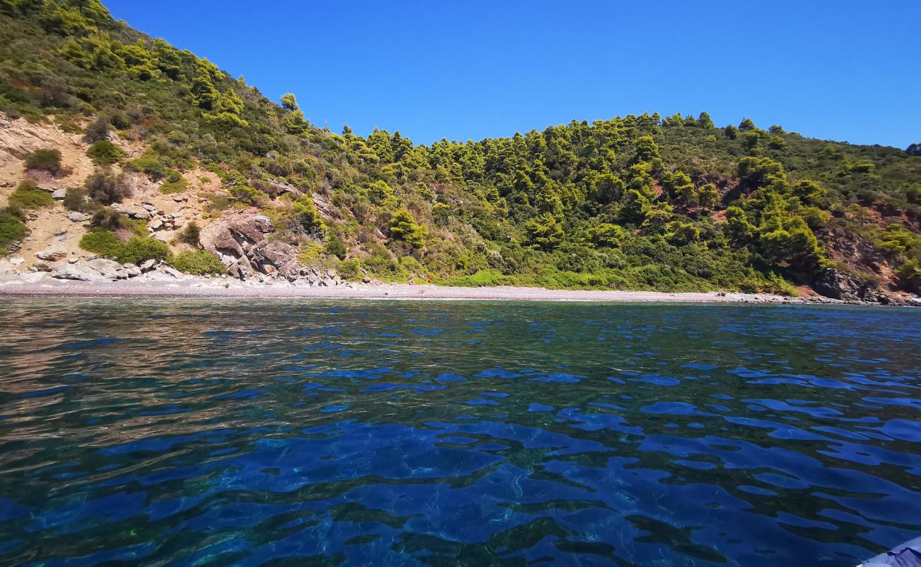 Photo de Wild Boar bay avec caillou clair de surface