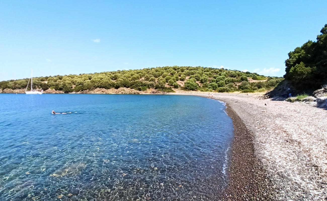 Photo de Ilia's Bay avec caillou clair de surface