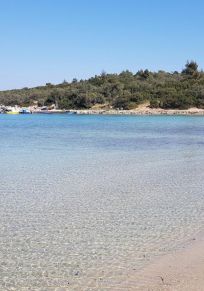 Paliouri