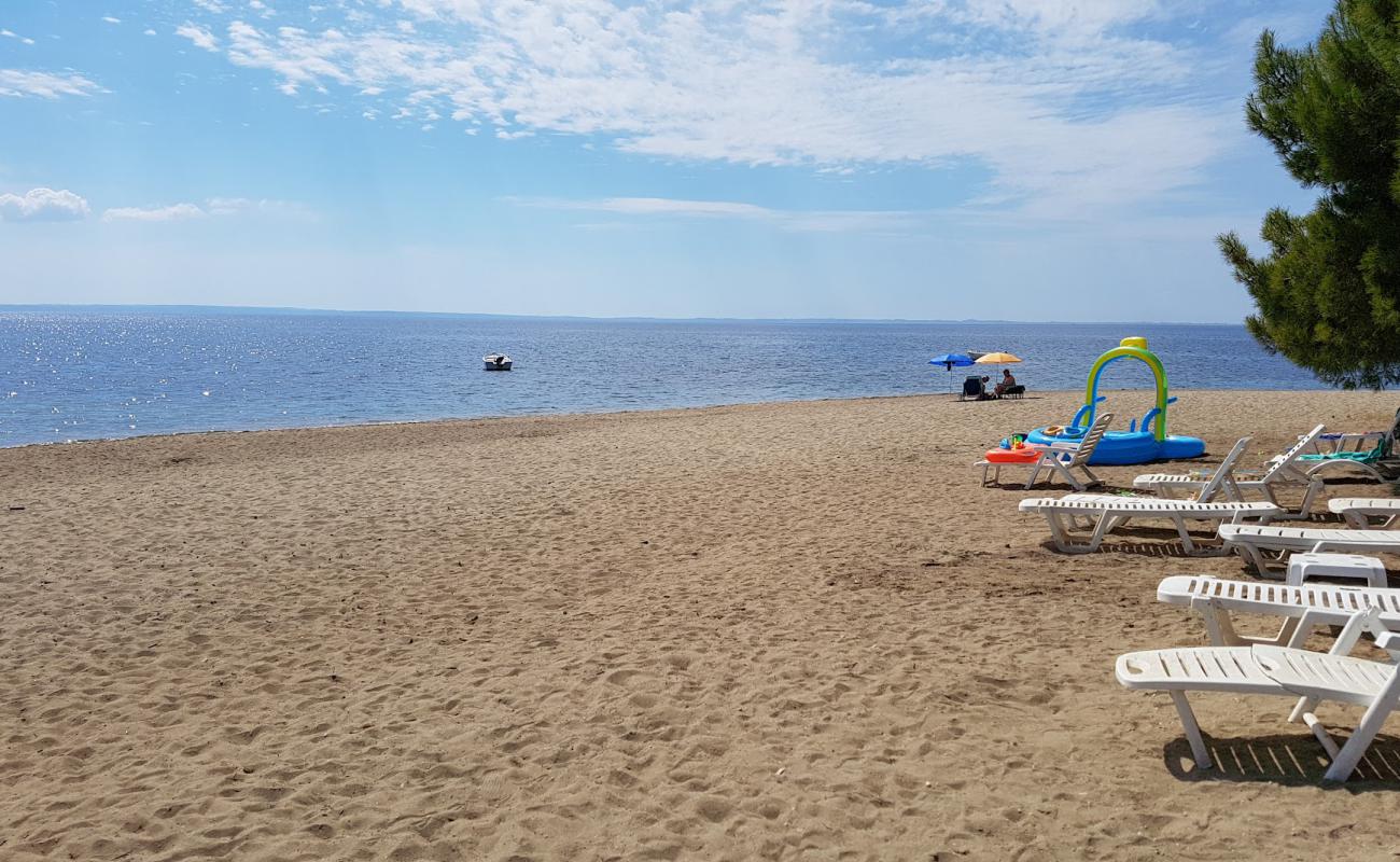 Photo de Psakudia beach avec sable gris de surface