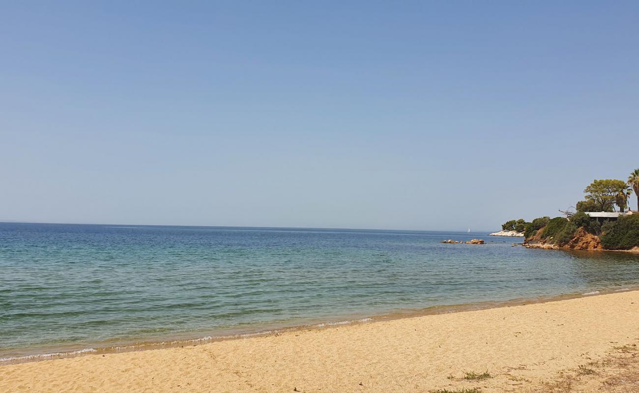 Photo de Kastri beach II avec sable noir avec caillou de surface