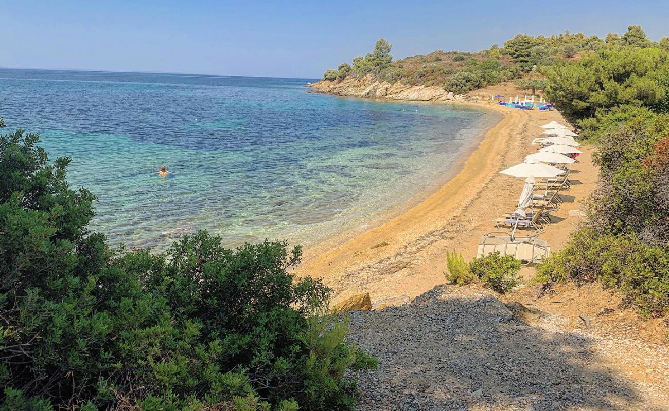 Photo de Little Olive beach avec sable brun avec roches de surface