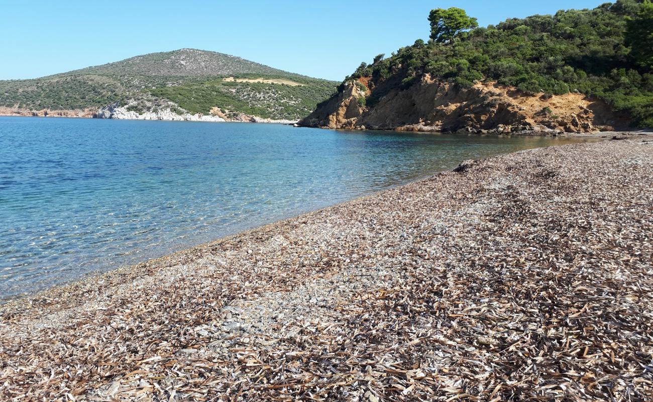 Photo de Secret beach avec galets bruns de surface