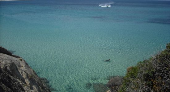 Sythonia wild beach IX