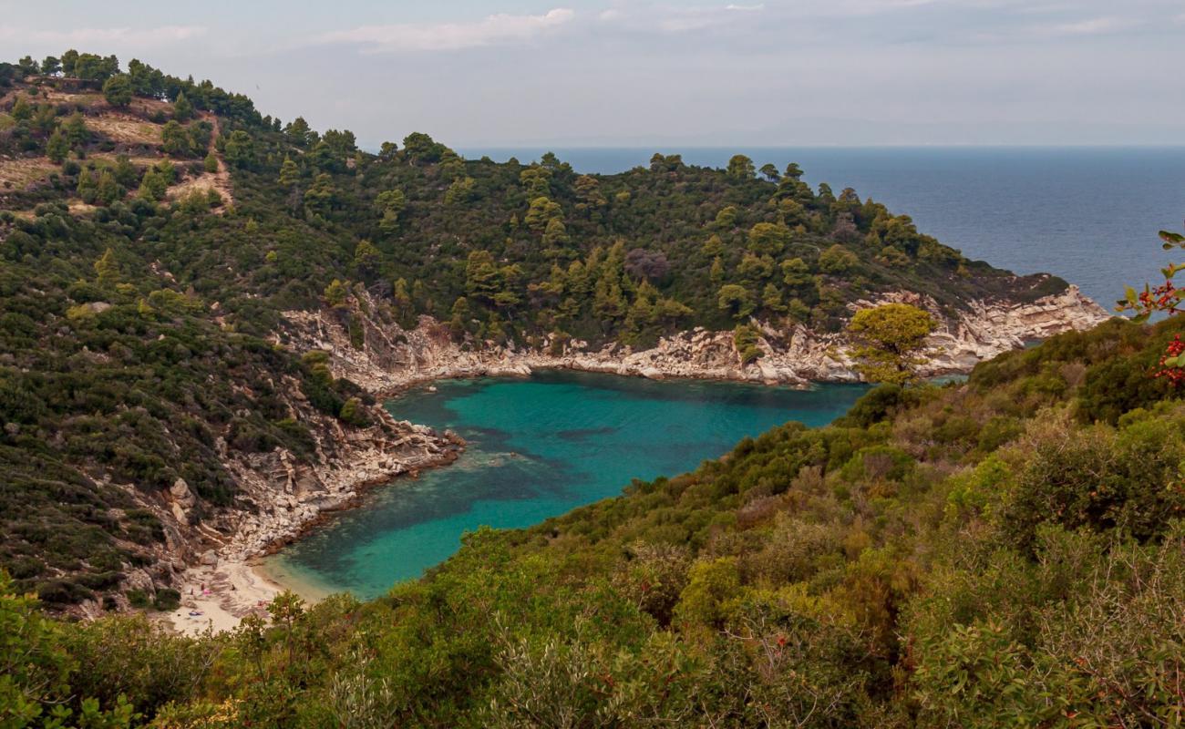 Photo de Sythonia wild beach X avec sable lumineux de surface