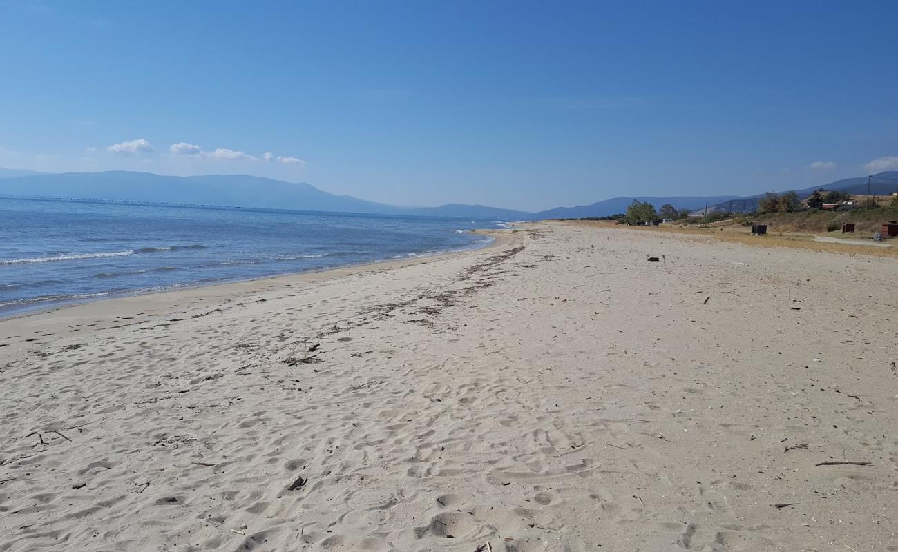 Photo de Sandy Beach avec sable lumineux de surface