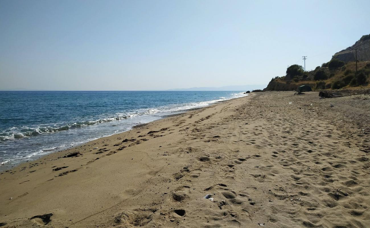 Photo de Coyota's beach avec sable blanc de surface