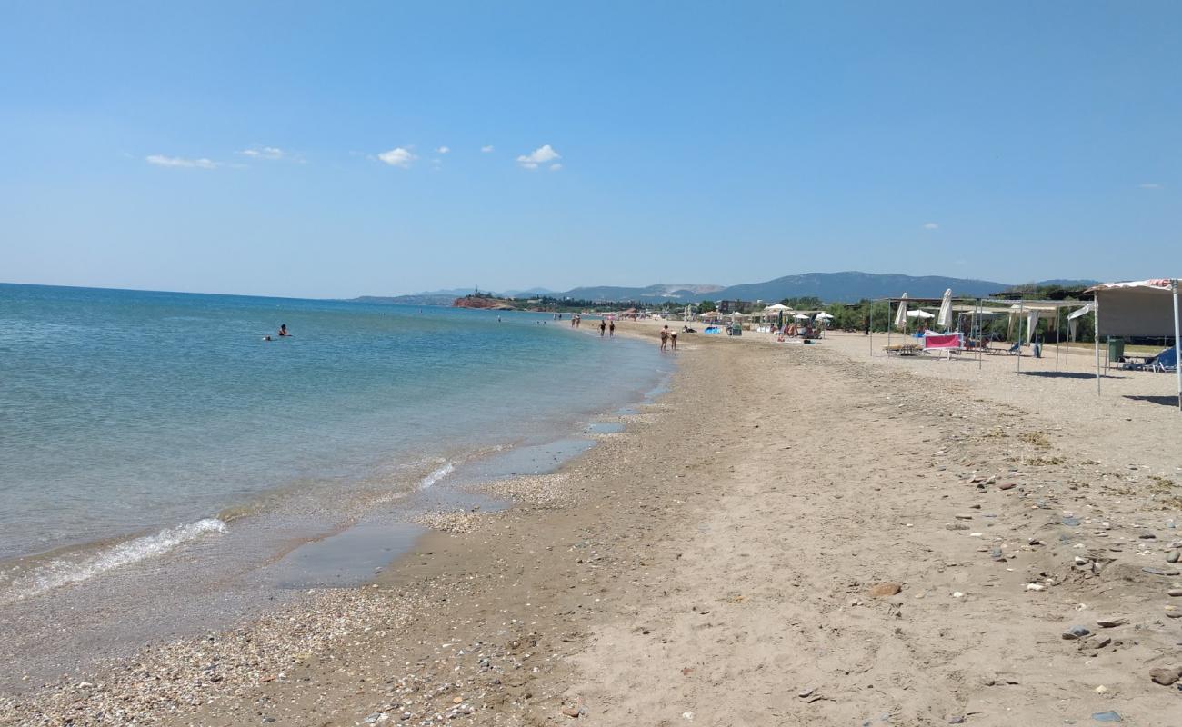 Photo de Alexandroupolis beach avec sable clair avec caillou de surface