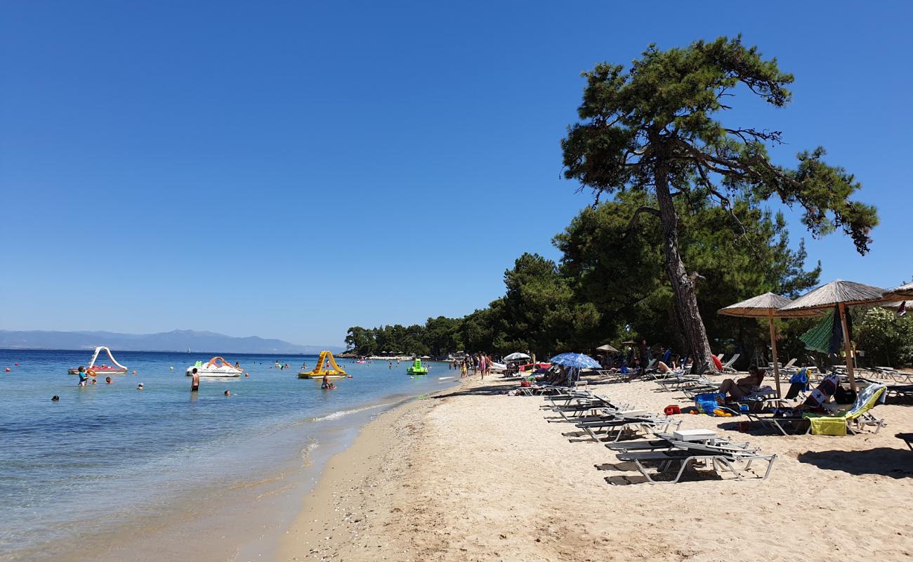 Photo de Pachis beach avec sable blanc de surface